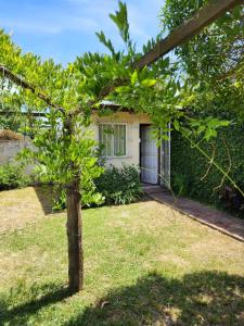 a small white house with a tree in the yard at Lo de Capra! in Santa Clara del Mar +17 photos