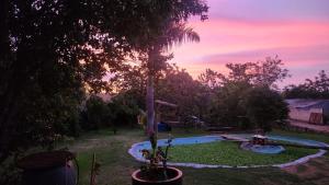 a backyard with a swimming pool and a tree at Sitiolosbragas in Caetanópolis