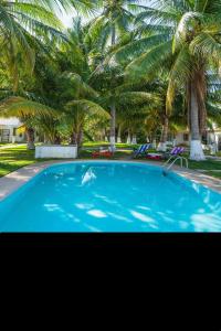 een groot blauw zwembad met palmbomen op de achtergrond bij Comfortable and quiet with a pool in Barrio Nuevo