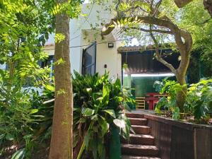 Zahrada ubytování Frescaaá