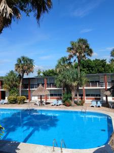 een groot zwembad voor een gebouw met palmbomen bij Hotel Plaza Palmas in Tuxpan de Rodríguez Cano