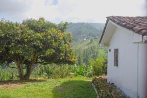 una casa bianca con un albero e montagne sullo sfondo di Hacienda Santa Bárbara Coffee Farm a La Linda Altre 29 foto