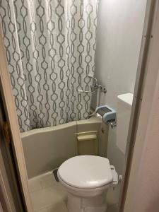 a small bathroom with a toilet and a shower curtain at 202basichostel in Osaka