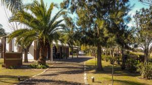 a street with palm trees in front of a building at Cabañas Villa Fariña in Gualeguaychú