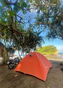 Příroda nedaleko kempu