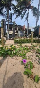 En have udenfor Casa à beira mar de Maragogi com 4 quartos, 4 banheiros e Área Verde