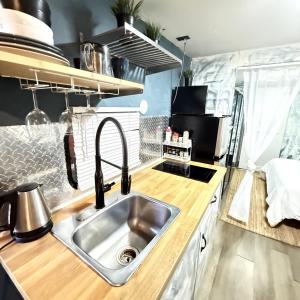 een keuken met een spoelbak en een aanrechtblad bij Social Distanсing Approved Nature Getaway! in Naples