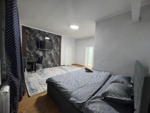 奇姆肯特Grand RR的一间卧室，墙上有一张床和一台电视