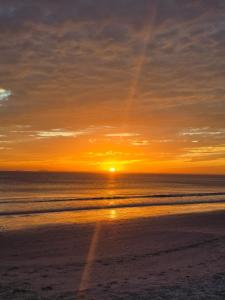 Naturlandskabet i nærheden af lejligheden