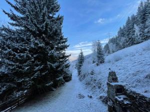 Rodinný penzion Míša om vinteren