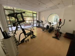een fitnessruimte met loopbanden en crosstrainers in een kamer bij Providencia LSL in Santiago