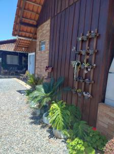 a garden with plants on the side of a building at Pousada do vô Bi 02 in São Francisco do Sul
