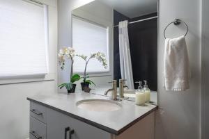 een badkamer met een wastafel en een spiegel bij Beautiful & Spacious Apt AC, Unit #1 in Halifax