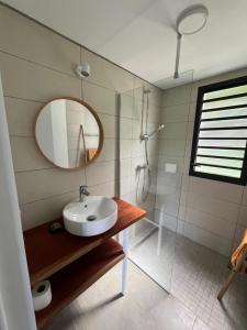 a bathroom with a sink and a mirror and a shower at Maison dans la Forêt avec vue mer accès rivière in Goyave
