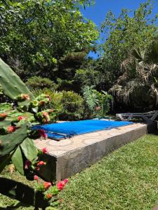 a swimming pool in a yard with flowers in the foreground at Nido Rústico in Rivera