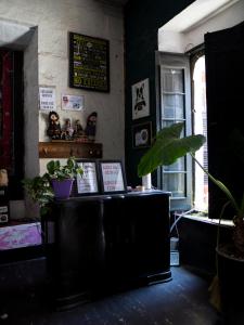 a room with a table with a potted plant at Casona Cruz Verde in Arequipa
