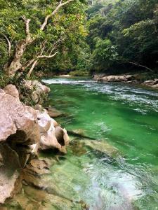 Naturlandskabet i nærheden af lodgen