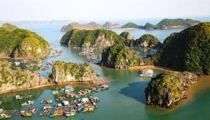 een luchtzicht op een haven met boten in het water bij New Way Hotel in Cat Ba