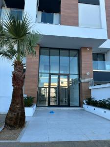 a palm tree in front of a building at loft in El Aouina Station