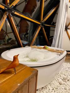 Ảnh trong thư viện ảnh của Zaca Domos l Ouro Preto - MG ở Mariana