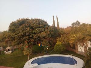 een zwembad in een tuin met een boom bij La Victoria Resort & Spa 