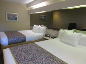 Microtel Inn & Suites by Wyndham Arlington/Dallas Area