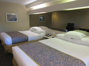 Microtel Inn & Suites by Wyndham Arlington/Dallas Area