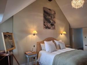 een slaapkamer met een bed en een kroonluchter bij Hôtel Savare in Blois
