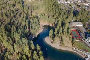 een luchtzicht op een rivier in een bos bij Black Bay Getaway Private Bay Access in Post Falls