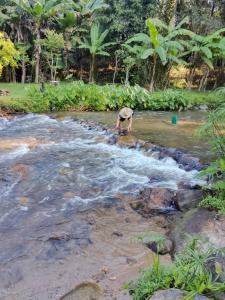 Billede fra billedgalleriet på 88 Live house i Ban Pok Nai