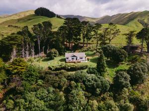 a house on a hill in the middle of a forest at Arapawa Homestead in Picton +28 photos