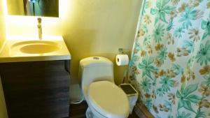 un bagno con un water, un lavandino e una tenda da doccia di M&M Container Home a Sardinal Altre 9 foto