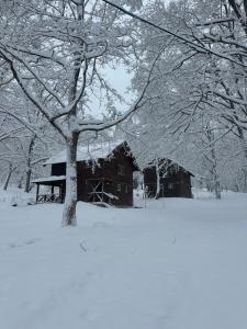 a barn covered in snow next to a tree at Yamanomura Campsite in Hida