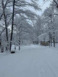 a park covered in snow with trees and a bench at Yamanomura Campsite in Hida +10 photos