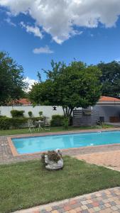 een zwembad met ernaast een schildpaddenbeeld bij Aflica Apartments in Gaborone