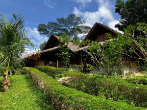a house with a thatched roof and a garden at Backpacker's Hill Resort in San Vicente
