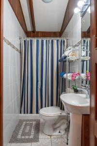 a bathroom with a toilet and a sink at Casa Vegas Panoramic Views near Monteverde in Turín +7 photos