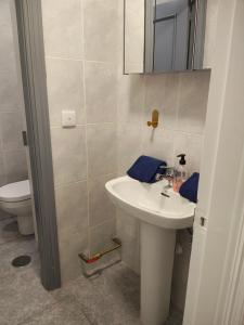 un bagno con lavandino e WC di Apartamento Cervantes 2 ad Alcalá de Henares Altre 7 foto