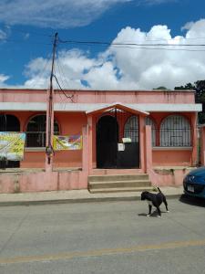 un cane nero che cammina per strada davanti a un edificio di Cobán room a Cobán