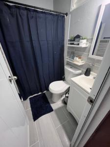 ein Bad mit einem WC und einem blauen Duschvorhang in der Unterkunft Casa Peace Haven Beach House Aguada in Aguada + 26 Fotos