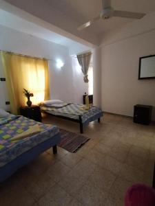 a bedroom with two beds in a room with a window at Rose Guest House in Luxor +143 photos