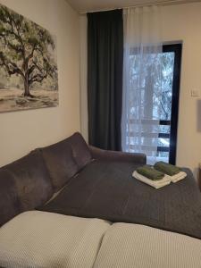 a couch in a living room with a window at Friends 2 Vlašić in Vlasic