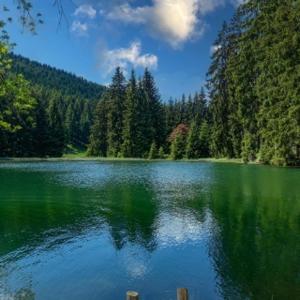 Naturlandskabet i nærheden af lejligheden