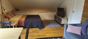 a bedroom with a bed and a tv and a couch at Apartmán Nest Brčálník in Železná Ruda
