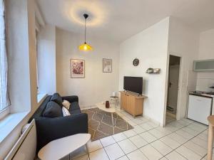 een woonkamer met een bank en een tv bij Le Studio 3, Calme & Cosy à 2 Pas de Stanislas in Nancy