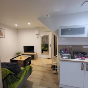 ein Wohnzimmer mit Spüle und Küche in der Unterkunft Riverside in Montereau-faut-Yonne