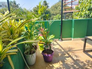 een balkon met potplanten en een groen hek bij ASSHAPPYSTAYINN HOTEL in Tiruchchirāppalli