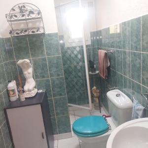 une salle de bains avec toilettes, douche et lavabo dans l'établissement VILLA LE tignet, à Le Tignet