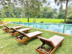 un complexe avec une piscine et des chaises longues et une piscine dans l'établissement Bela Ahangama, à Ahangama