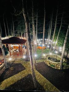 a cabin in the woods at night with lights at BoHome Balaton in Balatonakali